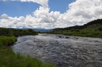 The Taylor River